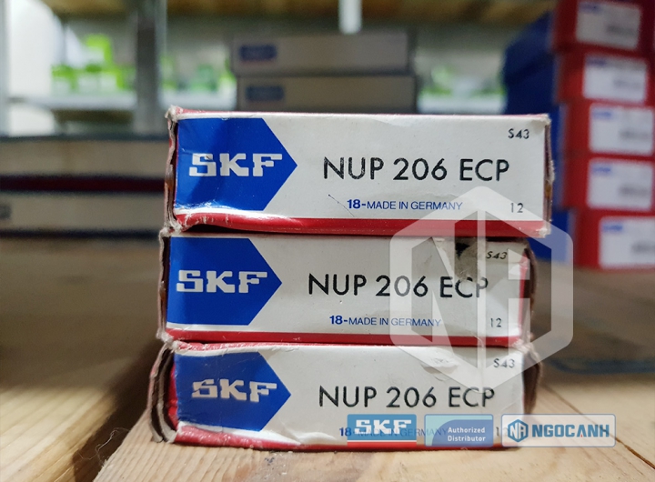 Vòng bi SKF NUP 206 ECP chính hãng phân phối bởi Mua bán Vòng Bi - Đại lý ủy quyền SKF Vòng bi SKF NUP 206 ECP chính hãng