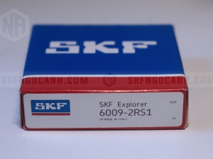 Vòng bi SKF 6009-2RS1