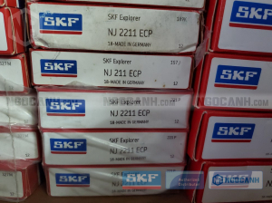 Vòng bi SKF NJ 211 ECP