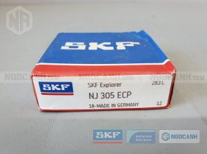Vòng bi SKF NJ 305 ECP