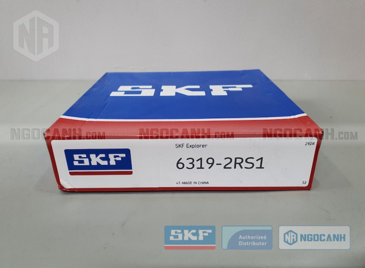 Vòng bi SKF 6319-2RS1 chính hãng